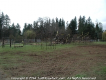 2001 03 11 OR Riverside Speedway 41.jpg